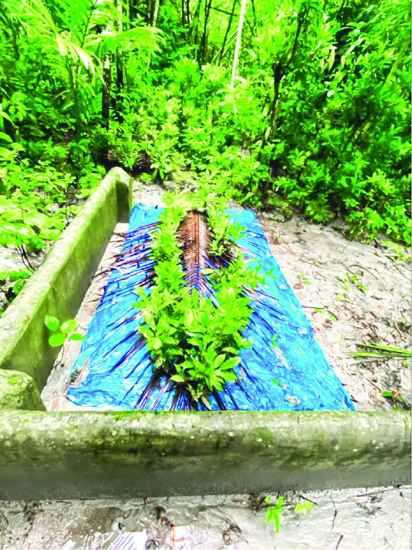 Image of মো: শাকিল হোসেন